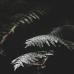 20124期中国体育彩票最新开奖结果查询 59cr3b8