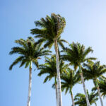 3d开奖带线走势图专业版最新数据分析与预测 7ouho