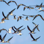 2012087期双色球开奖结果查询与中奖号码公布 nc4607ufi7