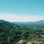 2011078期双色球开奖号码及中奖详情公布 otj9gkq